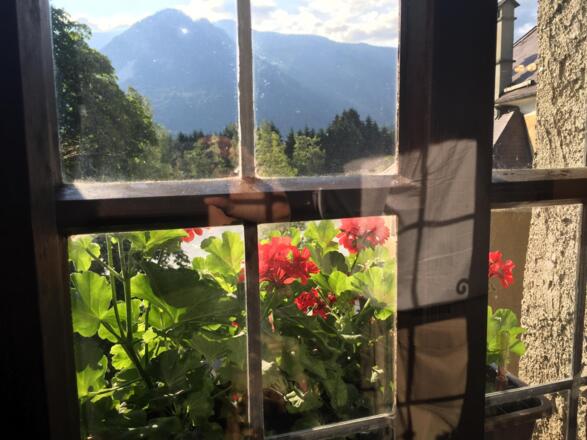 Blick aus dem Fenster