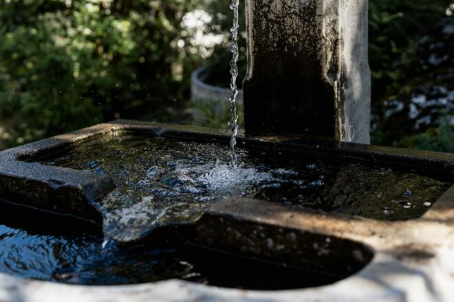 73 - Gauahof-Latschau2023-NFP-73