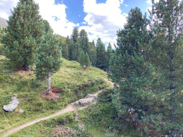 Weg vor Cache 7 Ramolalm