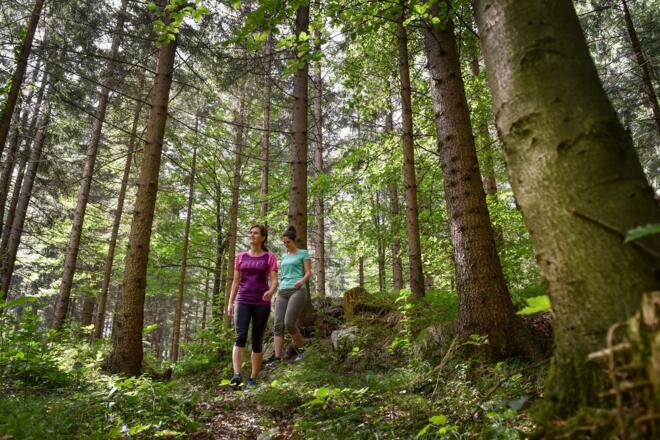 Fitnessmeile durch den Wald Kramsach