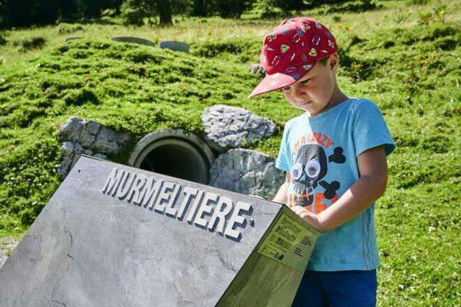 Bub am Tierwelten-Weg Brandnertal (c) Alex Kaiser