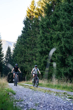 E-Biker am Weg zum Lackenkogel