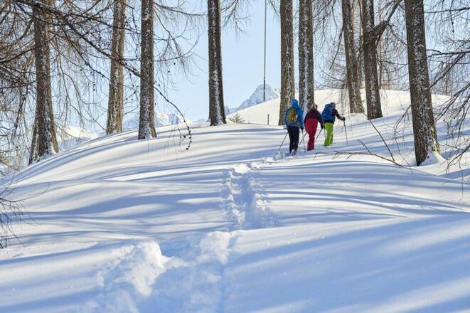 Schneeschuhwandern im Wald auf der Tschengla Brand