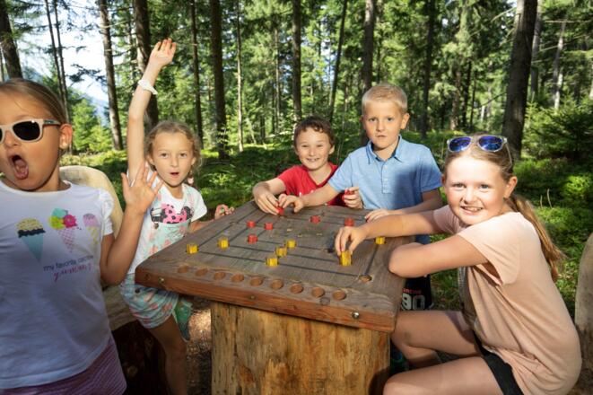 Zauberwald Brettspiel