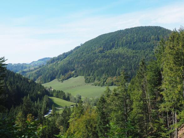Rechts abbiegen, dann Blick zum Rinnerberg 878m