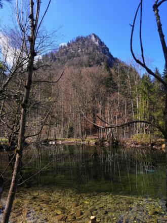 Weier beim Zwingsee