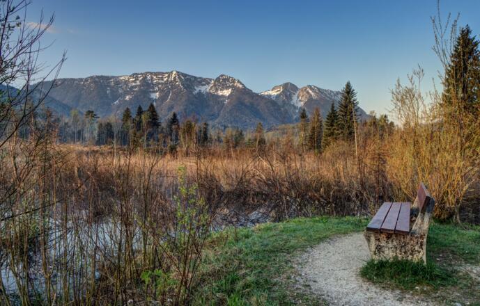 Moor-Erlebnis-Pfad Inzell