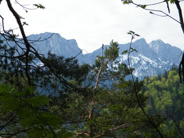vom Antoniberg Richtung Weißbach