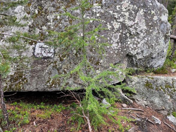 #2 Cache (Tauferbergrunde)