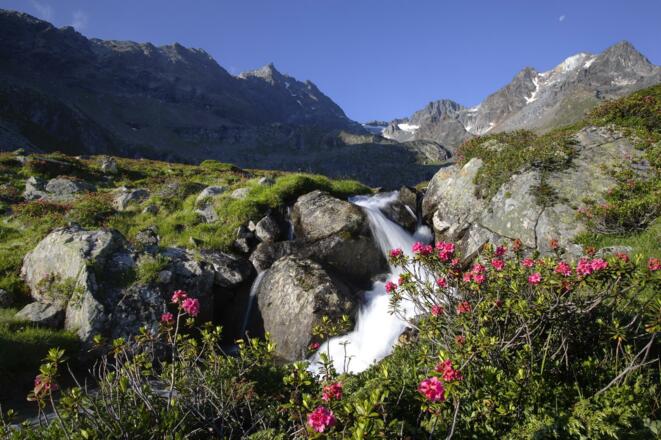 Sommer im Ötztal