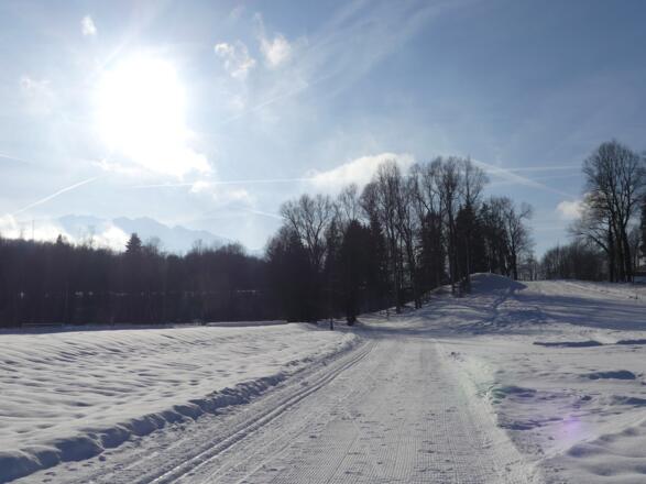 Sportplatzloipe mit Blick zum Kaisergebirge