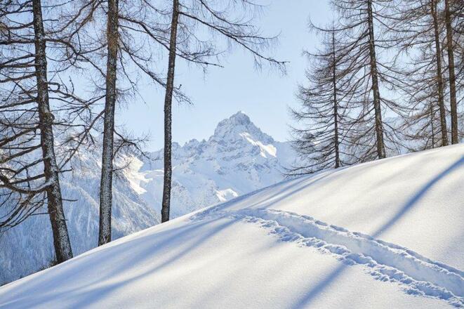 Spuren im Schnee auf der Tschengla (c) Alex Kaiser