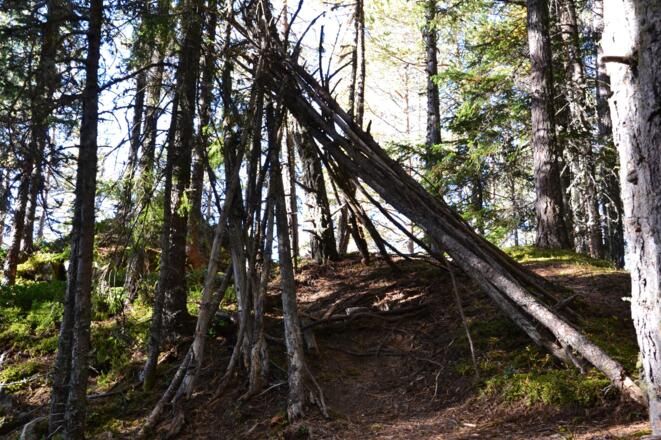 #4 Cache (Tauferbergrunde)