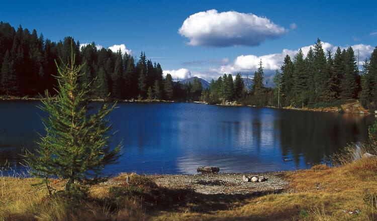 Vom Wipptal durch das Eggertal zur Onser Alm und weiter zum malerischen Puntleider See.