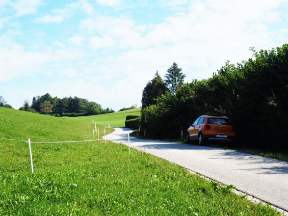 Parkplatz ~690m, ca.200m nach Weggabelung Hambaum 716m.