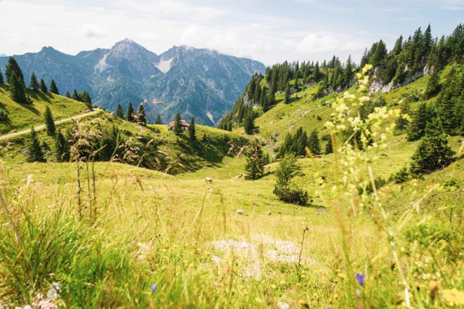 Markus_Baumgartner_Rauschberg über Hutzenauer Steig (9).JPG