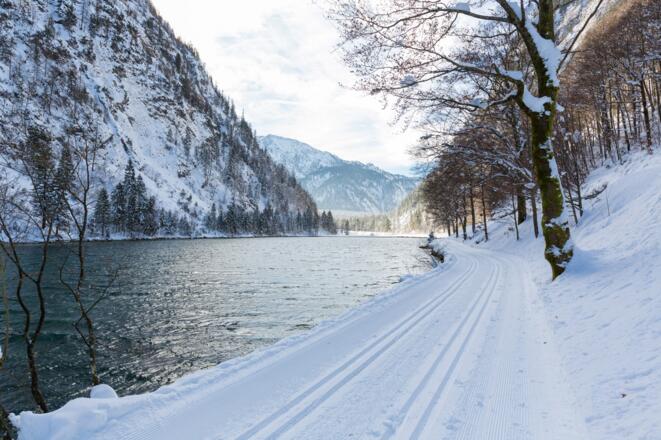 Förchensee