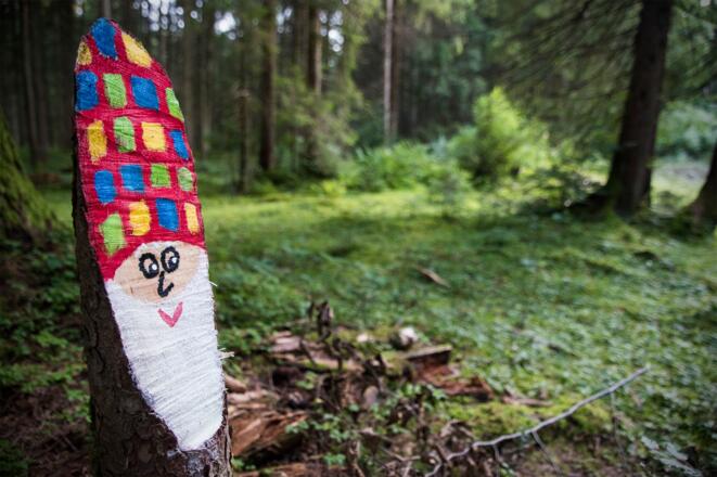 Wichtl im Märchenwald