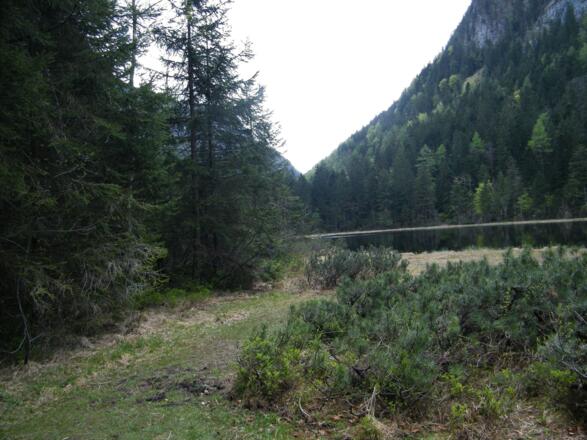 idyllischer Krottensee