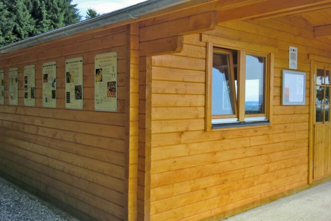 Station 11: Bienenlehrstand