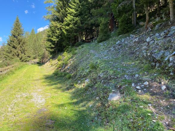 Gries Weg nach Cache 1