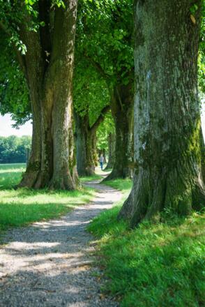 Holzkirchen