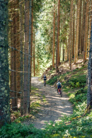 E-Biker am Weg zum Lackenkogel