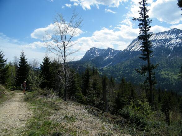 auf dem Weg von der Bäckeralm nach Adlgaß