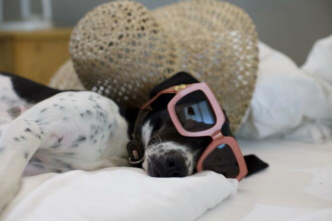 B6481F23-D41A-4A43-9A3C-2C3C9EF0BC96_1_100_o