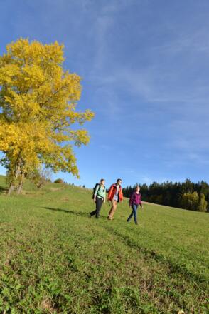 Landschaft im Mühlviertel