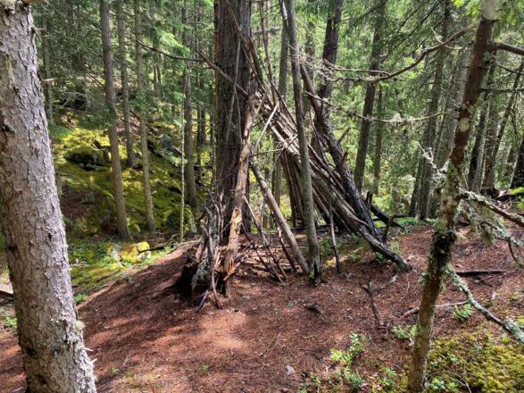 #4 Cache (Tauferbergrunde)