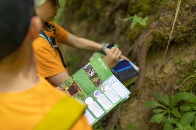 Stempeln im Geisterwald Stempelpass