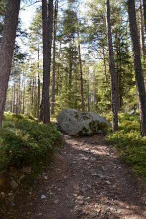 #1 Cache (Tauferbergrunde)