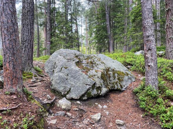 #1 Cache (Tauferbergrunde)