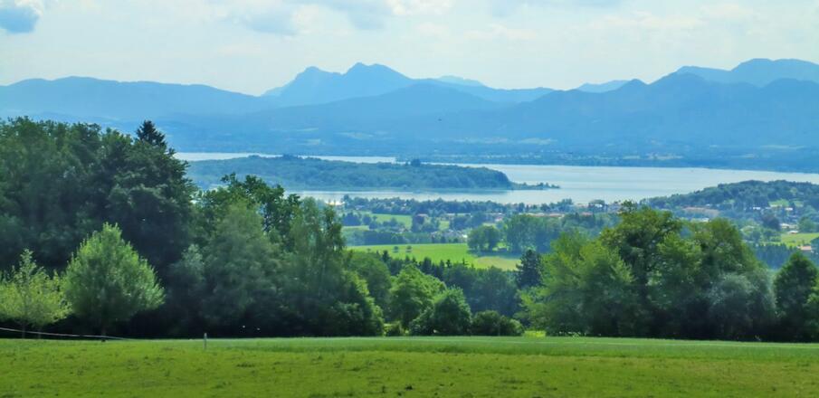 Station 11: Bienenlehrstand