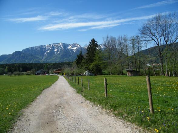 Holzen - Bäckeralm 2