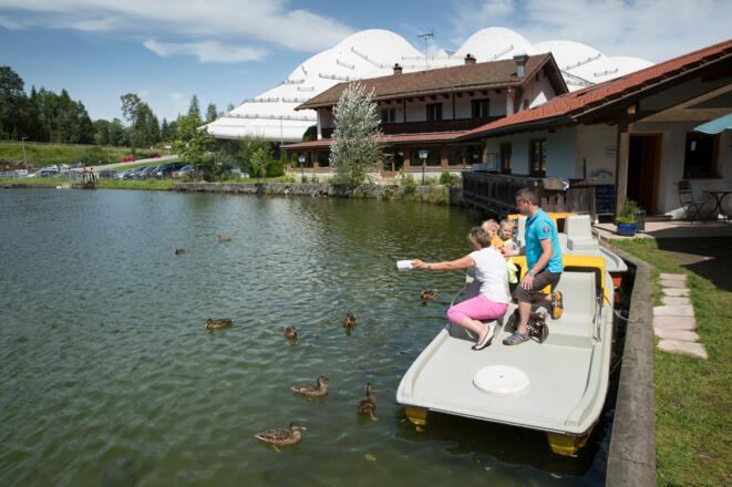 inzell sommer tretboot zwingsee enten füttern02_ff