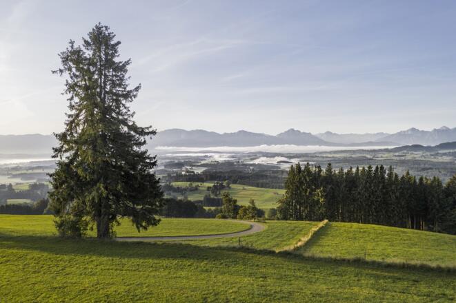 Blick in den Schlosspark am Auerberg