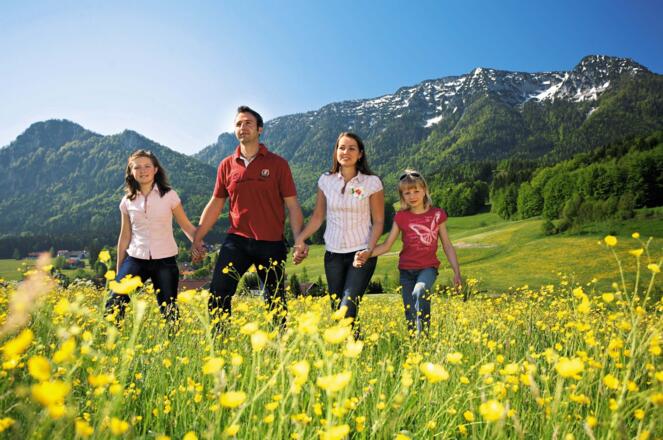 Der Weg zur Inzeller Kesselalm führt vorbei an blühenden Wiesen