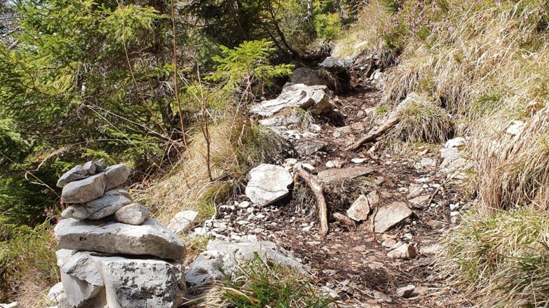 Der Stein zum Inzeller Kienbergl erfordert Trittsicherheit