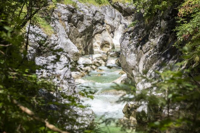 Kaiserklamm Brandenberg Waldblick