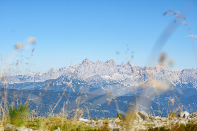 Wunderschöne Aussicht vom Lackenkogel aus auf den Dachstein