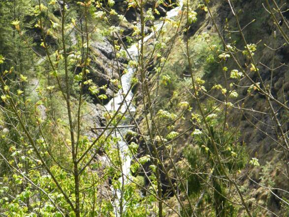 Blick vom Mauthäusl in die Schlucht