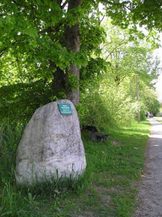 Station 9: Kletter-Findling mit Infotafel