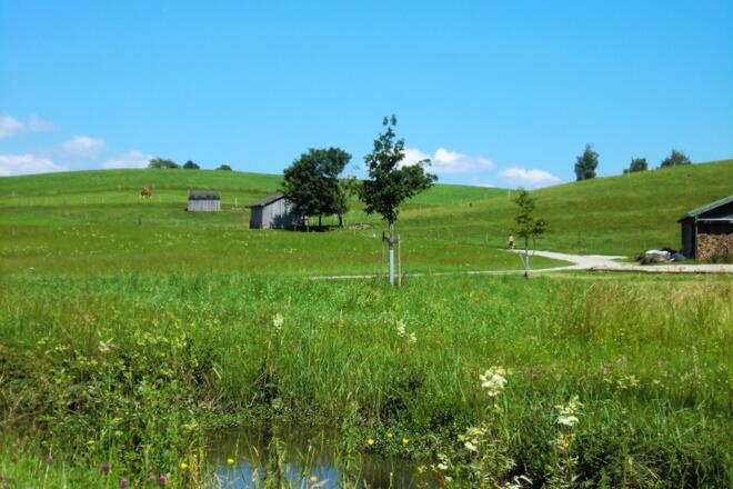 Station 3: Ur-Prien (Westenbach) mit Infotafel