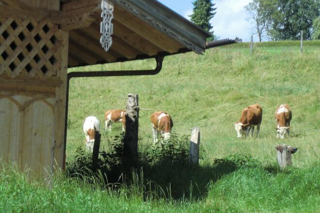 Station 3: Ur-Prien (Westenbach) mit Infotafel