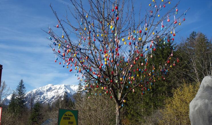 Ostergruß bei der Straße vorm Einstieg 585m