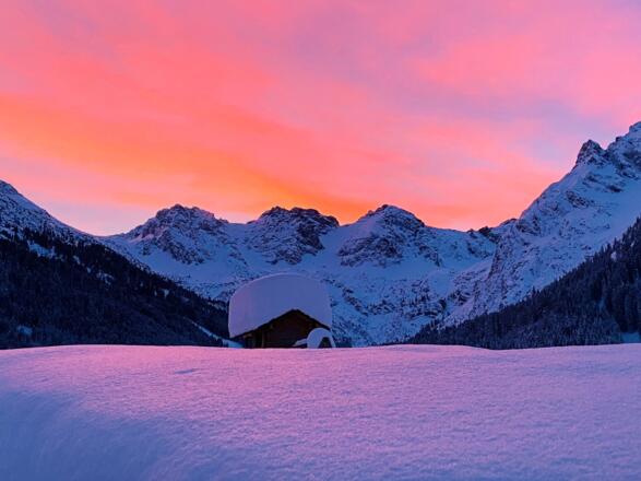 Drei Schafalpköpfe rot