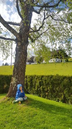 Kraftplatz Garten