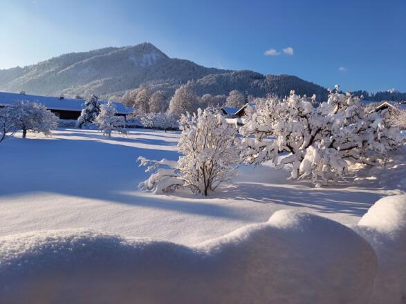 Unser Obstgarten im Winter